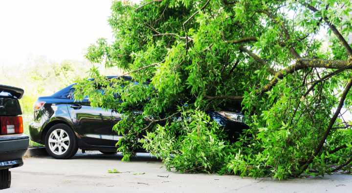boom op auto door storm