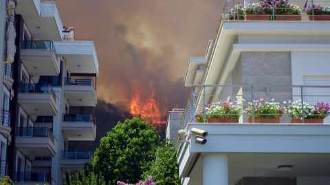 reisverzekering bij bosbranden