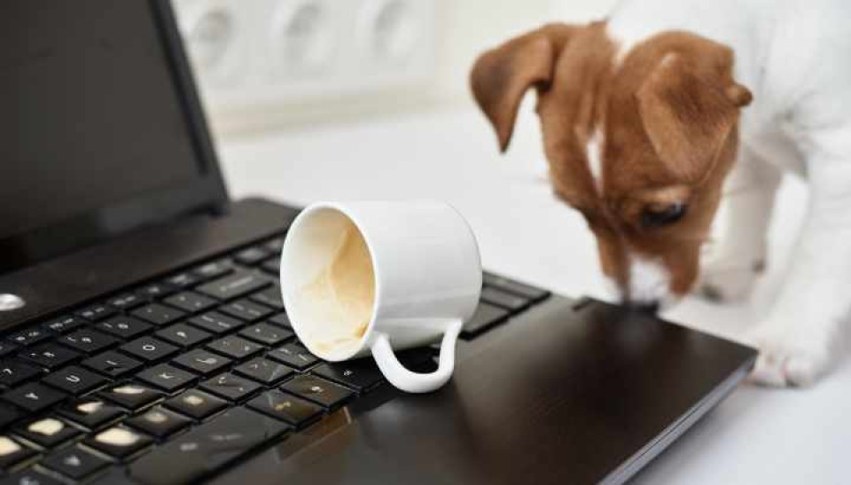 schade bij thuiswerken