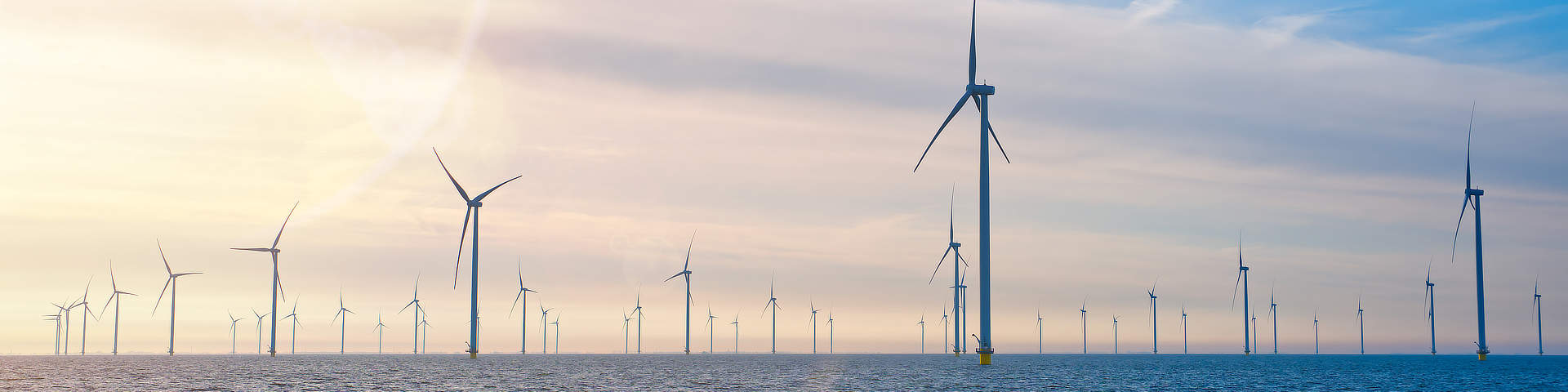 Nederlandse groene stroom