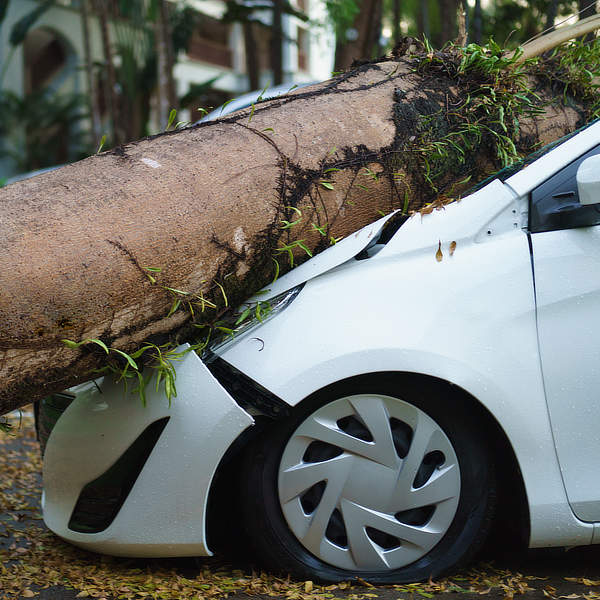 allrisk of wa verzekeren