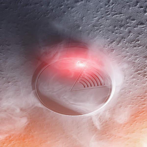 rookmelder verplicht