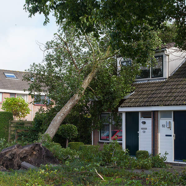 stormschade door boom